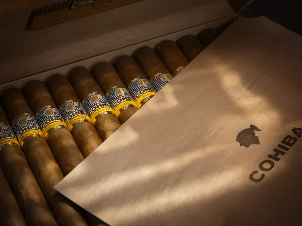 Boxes of rare and limited-edition Havana cigars