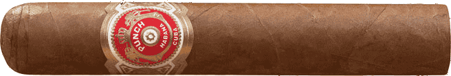 Punch Short de Punch Stick